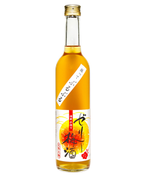 池龜 果凍梅酒 500ml